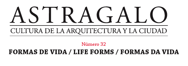 Astragalo Nº32